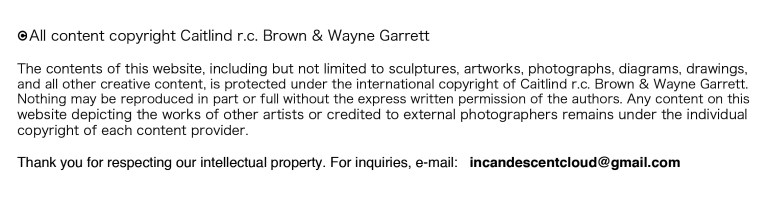 Copyright Statement - Invisible City Survey